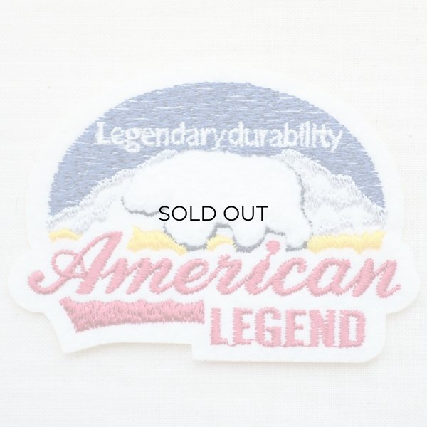 画像1: アウトドアワッペン American Legend(シロクマ/パイル刺繍) (1)