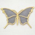 画像1: ワッペン Butterfly バタフライ(蝶/シースルー/ゴールド) (1)