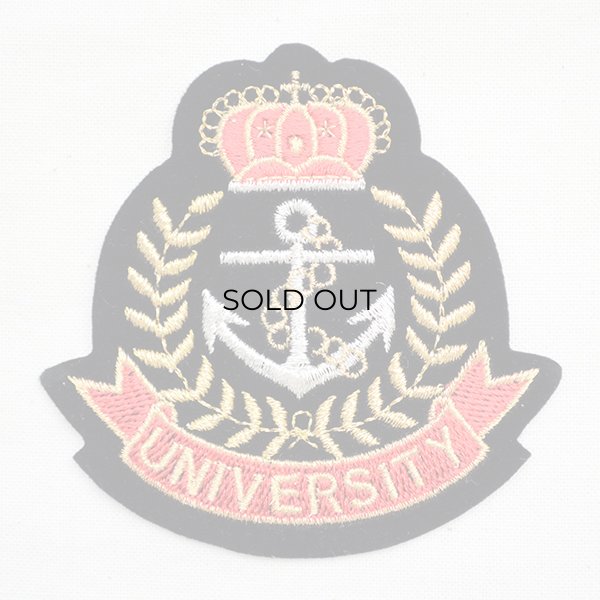画像1: エンブレムワッペン UNIVERSITY ユニバーシティー/レッド (1)