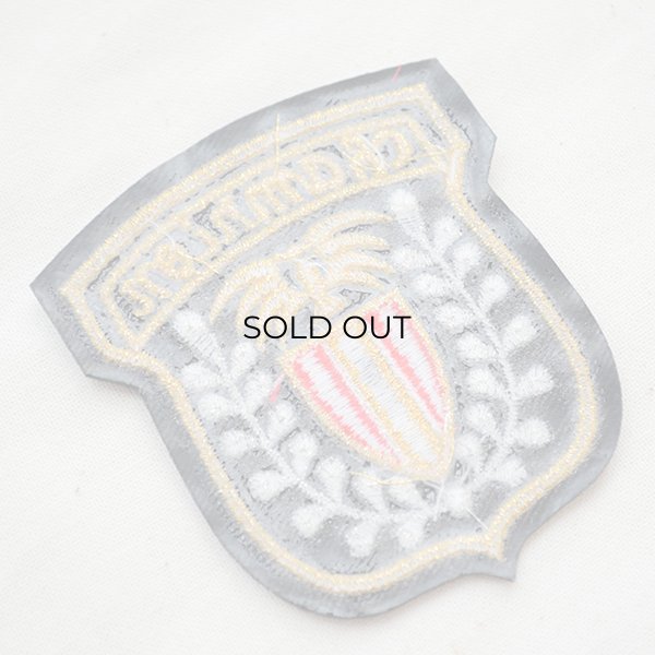 画像3: エンブレムワッペン CHAMPION チャンピオン (3)