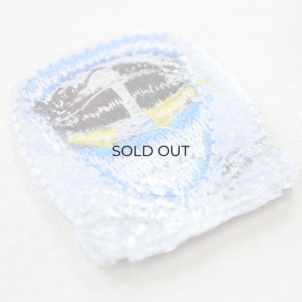 画像3: 鉄道/電車 トレインミニワッペン 500系新幹線 (3)