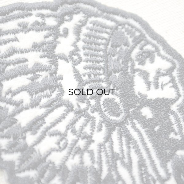 画像2: アメリカンワッペン インディアン (2)