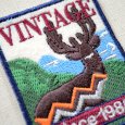 画像2: アウトドアワッペン VINTAGE(シカ) (2)