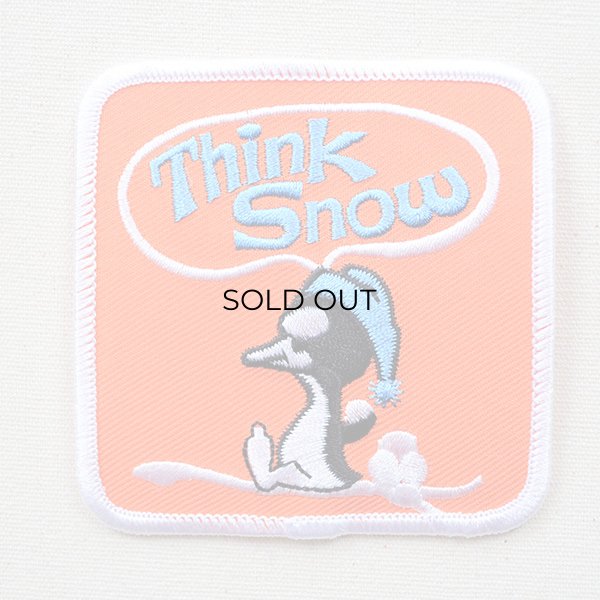 画像1: アメリカンワッペン Think Snow (1)
