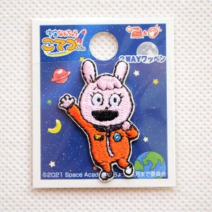 画像3: ミニワッペン 宇宙なんちゃらこてつくん ひかる