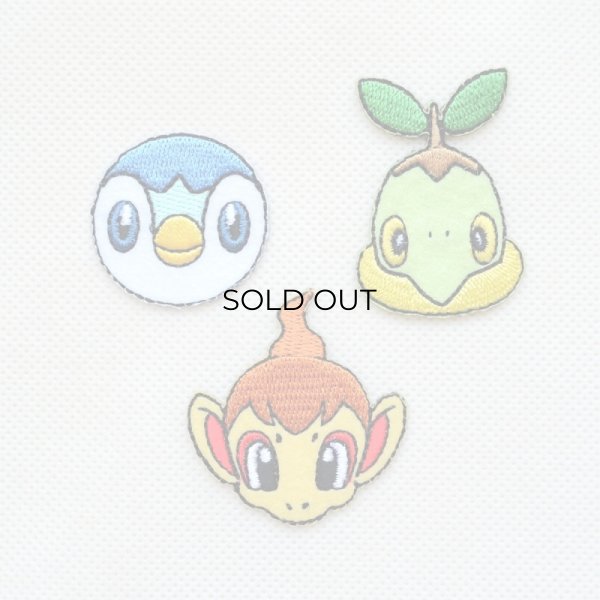 画像4: ワッペン ポケットモンスター ヒコザル (4)