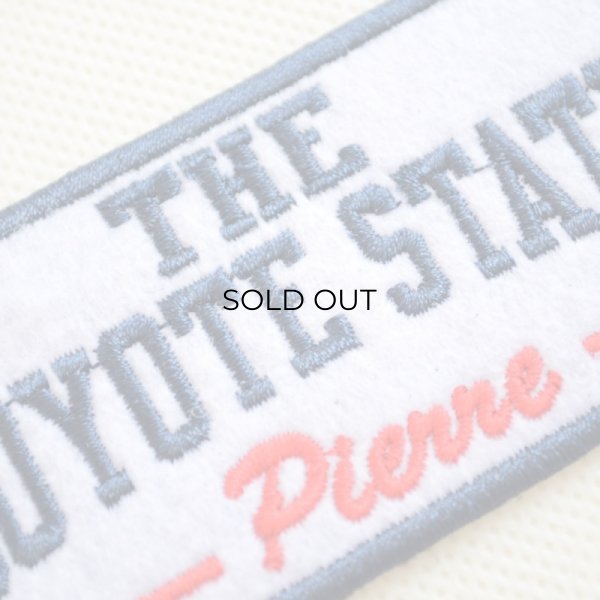 画像2: USAアドバタイジングワッペン THE COYOTE STATE ネイビー＆ホワイト (2)