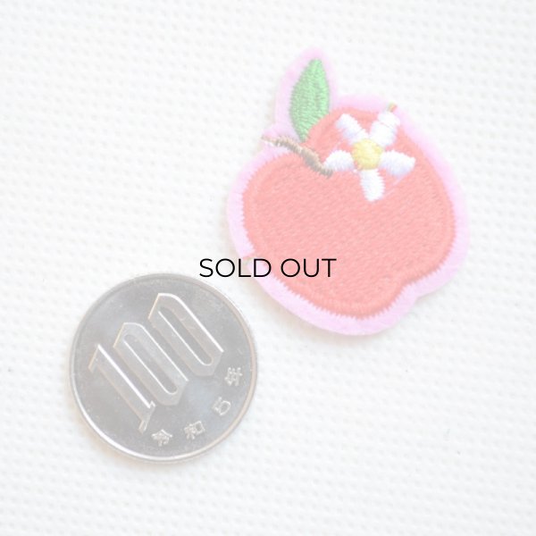 画像2: ワッペン りんご リンゴ 果物 ミニ (2)