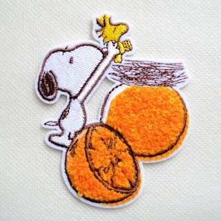 70726f647563742f32303234303132