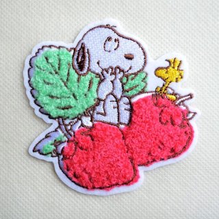 70726f647563742f32303234303132