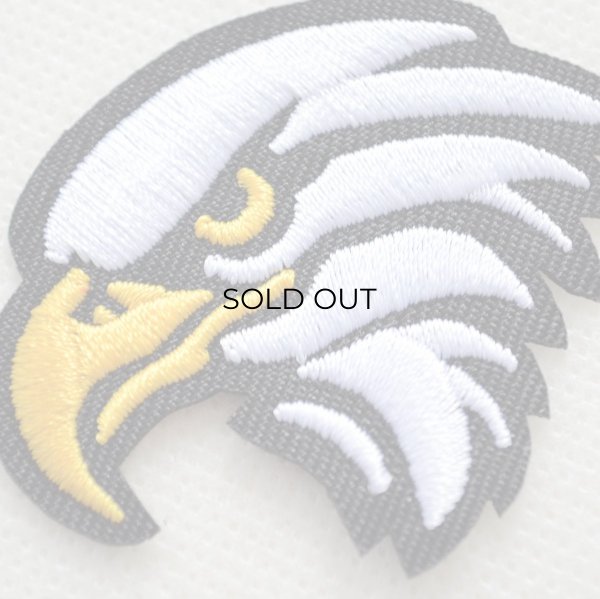 画像2: イーグル ワッペン 刺繍 エンブレム アメリカン・バイカー・ミリタリーファッション 小さめ (2)