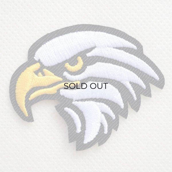 画像1: イーグル ワッペン 刺繍 エンブレム アメリカン・バイカー・ミリタリーファッション 小さめ (1)