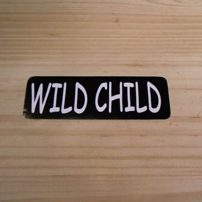 画像1: ステッカー　WIDE CHILD
