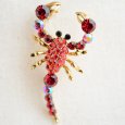画像1: メタルブローチ Scorpion サソリ (1)