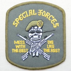 画像1: ミリタリーワッペン Special Forces スペシャルフォース アメリカ陸軍(スカル/カーキ)