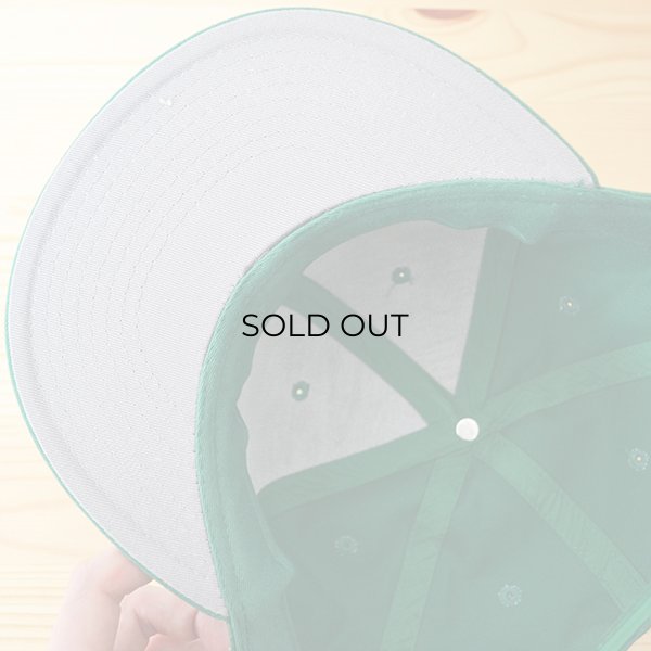 画像5: 帽子/キャップ オットー Otto フラットバイザー コットンツイル(ケリーグリーン) *メール便不可 (5)