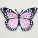 画像: ワッペン Butterfly バタフライ(蝶/ピンク)