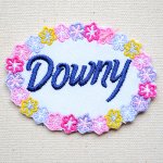 画像: ワッペン ダウニー Downy