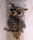 画像: メタルブローチ Owl フクロウ(シルバー/ビッグ)